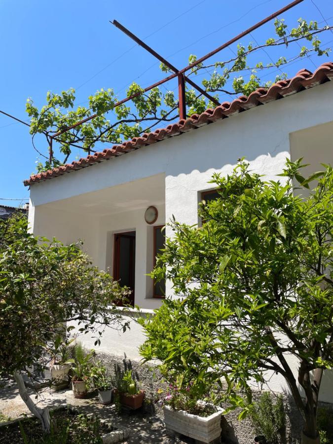 Vila Cano Hotel Durres Bagian luar foto
