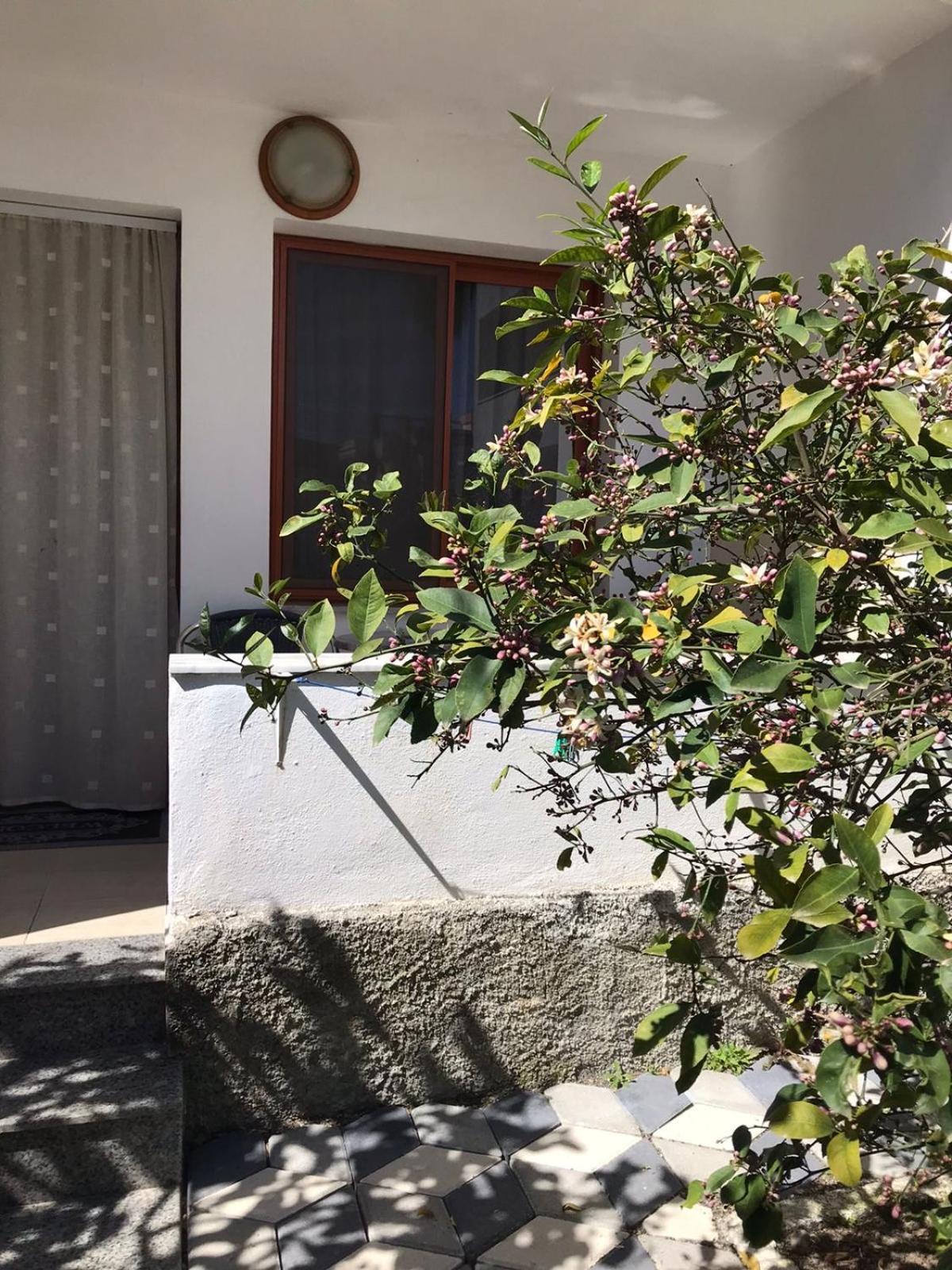 Vila Cano Hotel Durres Bagian luar foto